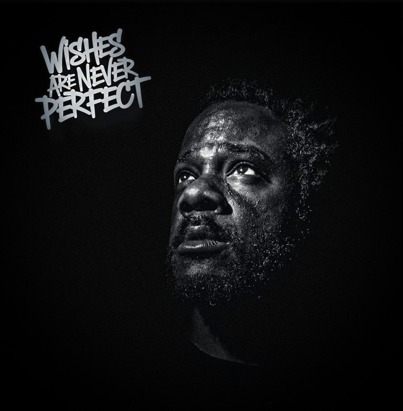 Wishes are Never Perfect (Digital Download)